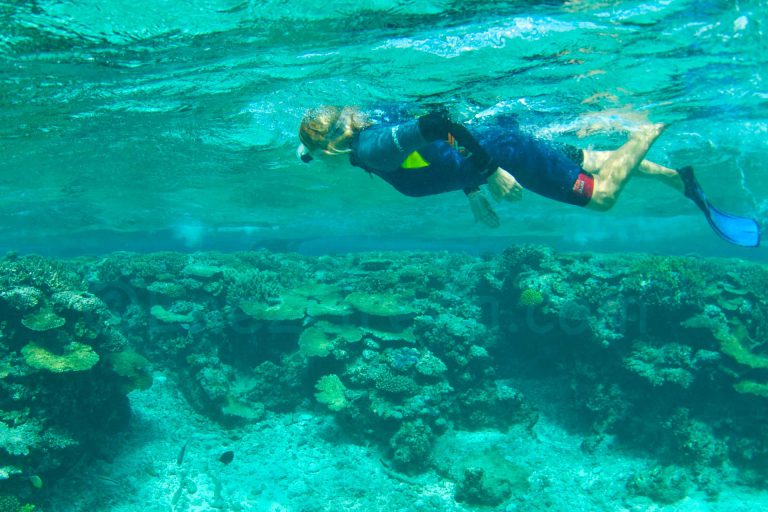 Snorkeling at Tibarama island with Aqualagoon Poindimié • EnezGreen