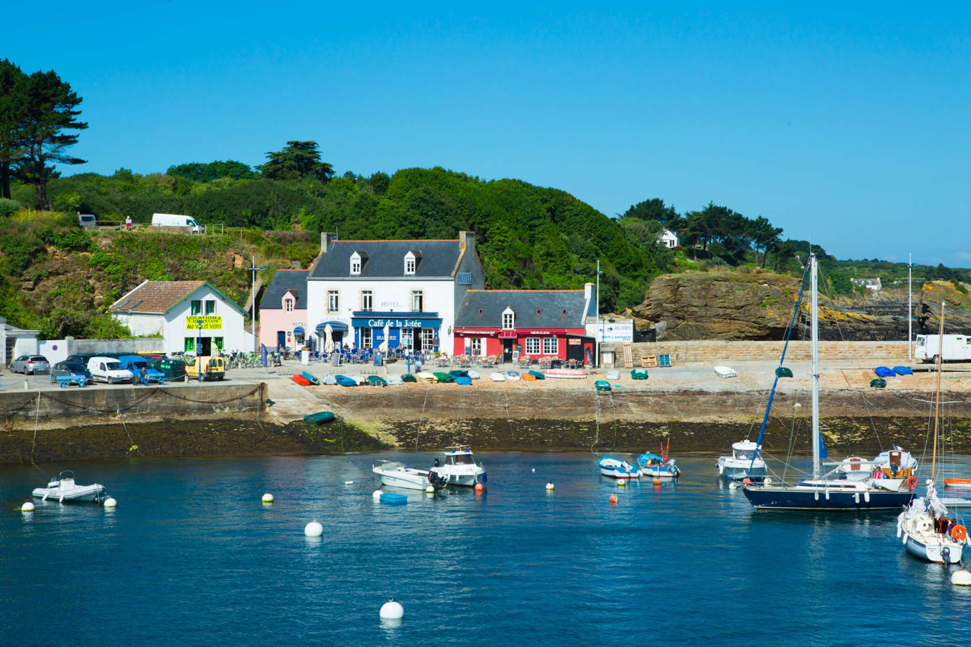 Haliotis ormeaux de Groix visite • EnezGreen